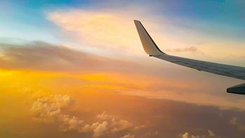 Plane wing
